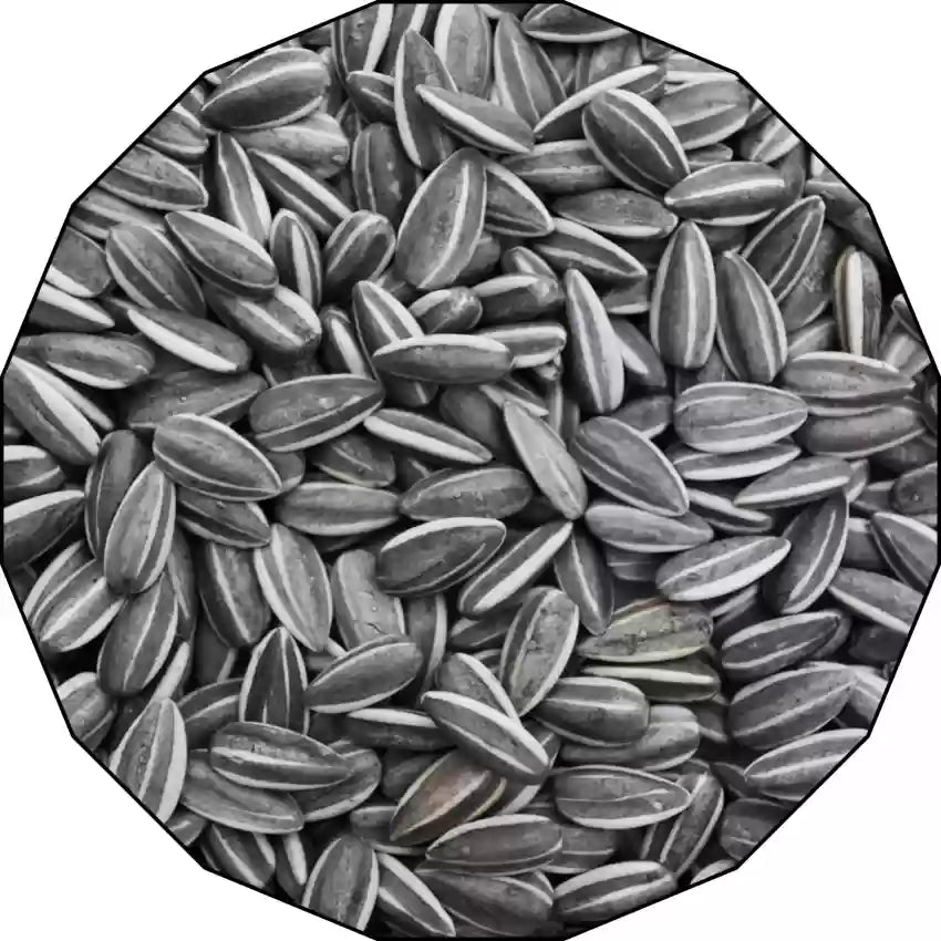 Sunflower Seed - Roasted Unsalted (5 LB)