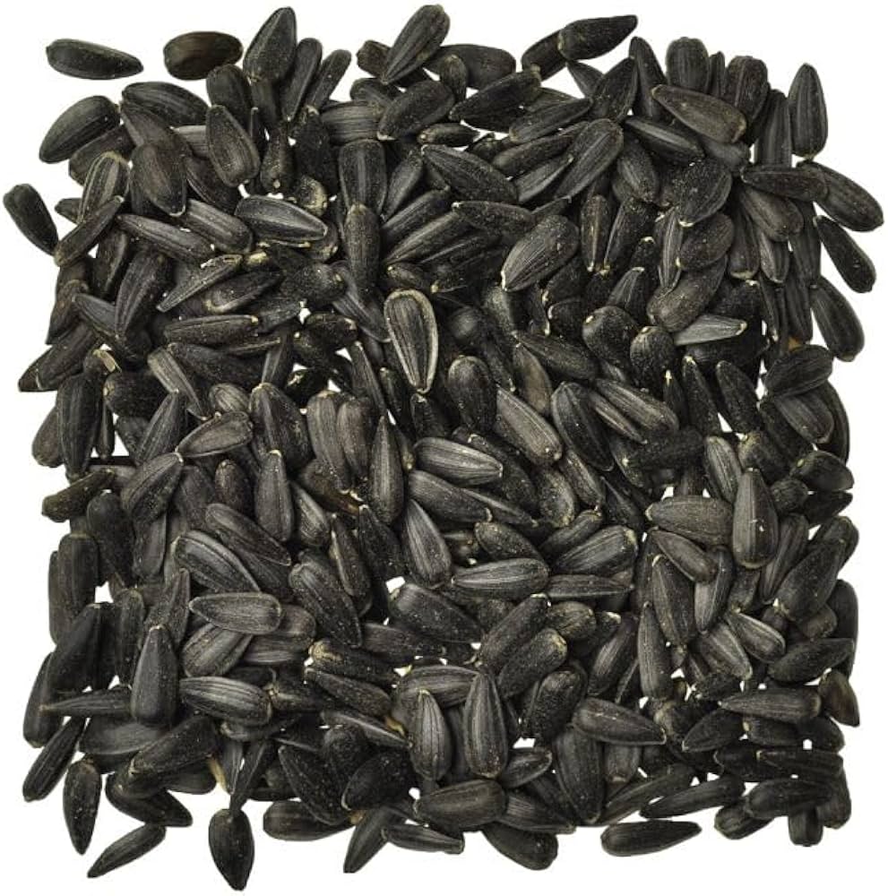 Long Sunflower Seeds (kg)