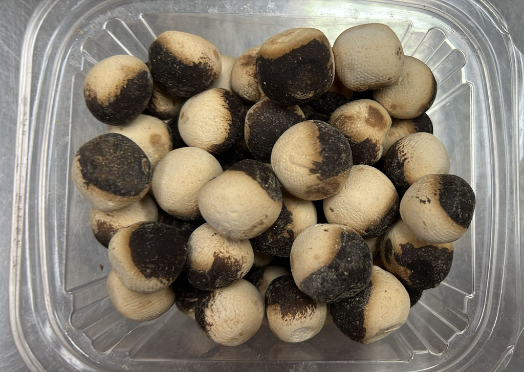 Dried Round Curd 2 Colored - Kashk (250g)