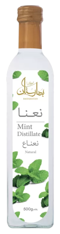 Mint Water (12x500ml)