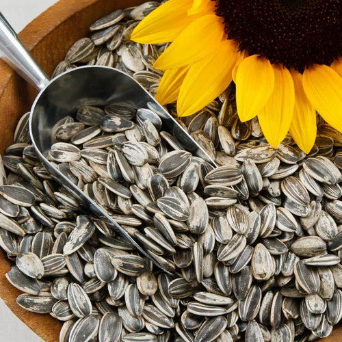 Sunflower Seeds (Per Kg)