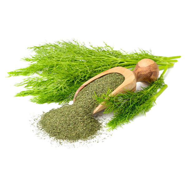 Dried Dill Herbs - Shevid (150g)
